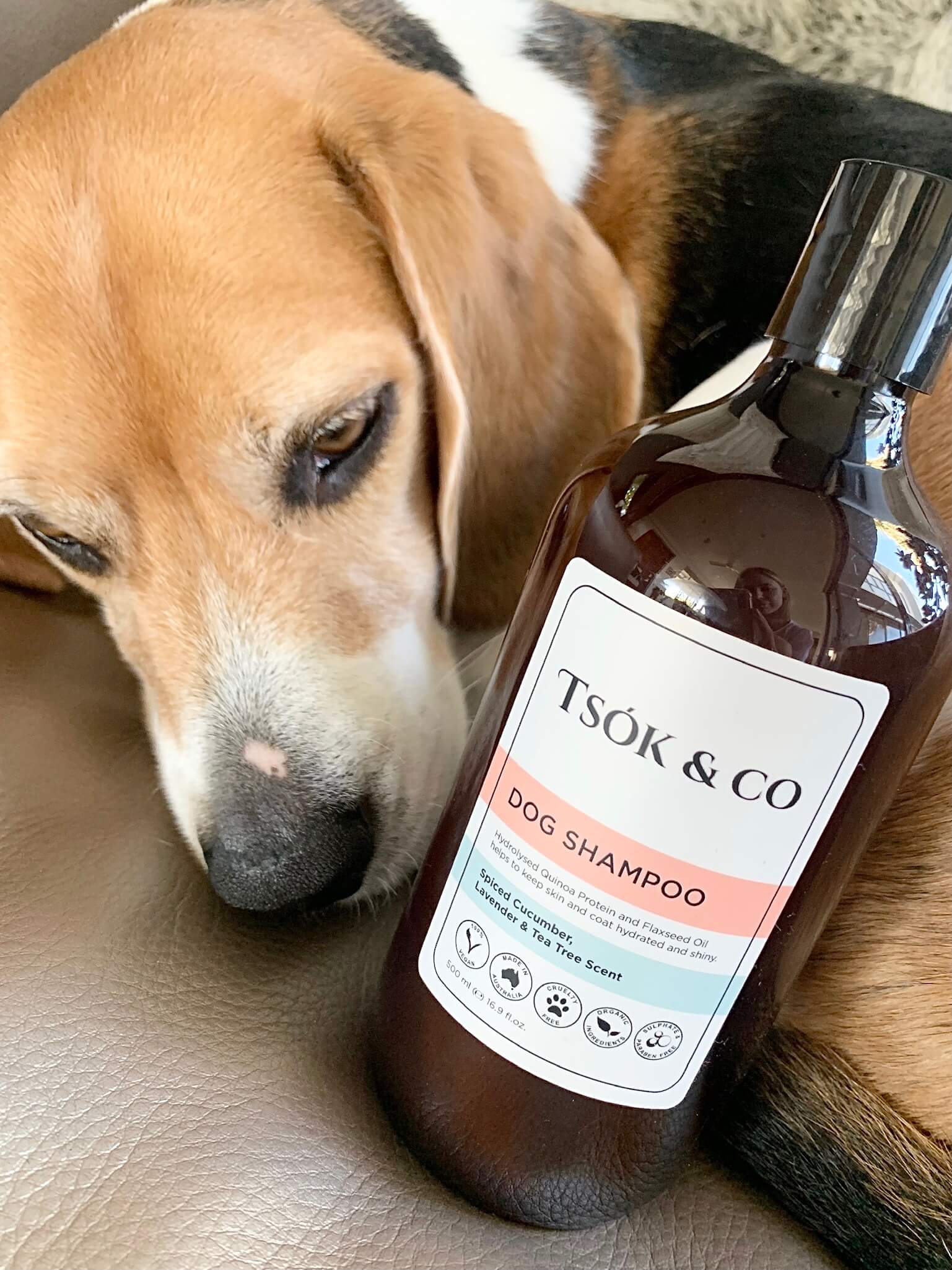 Natural Petcare and Shampoo